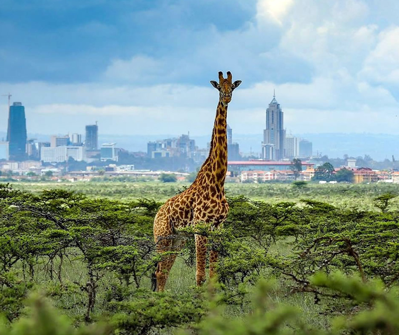 Kenya